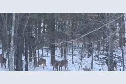 64503 Norway Spruce Road, Finlayson, MN 55735 - Photo 48