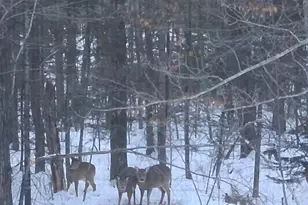 64503 Norway Spruce Rd, Finlayson, MN 55735 - Photo 48