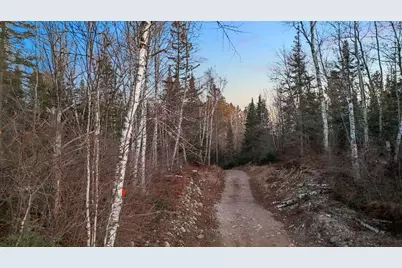 Tbd Arthur Lake, Babbitt, MN 55706 - Photo 24