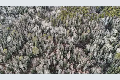 Tbd Arthur Lake, Babbitt, MN 55706 - Photo 6