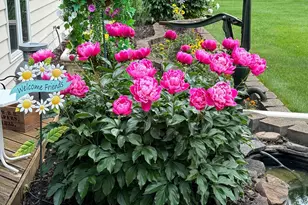 16360 Zuni St NW, Andover, MN 55304 - Photo 8