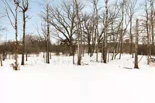 10393 Pheasant Rdg Rd, Victoria, MN 55318 - Photo 52