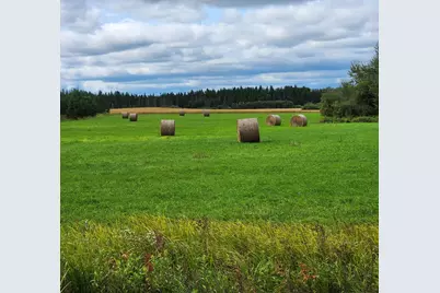 9453 Alango Road, Angora, MN 55703 - Photo 4