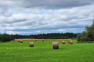 9453 Alango Rd, Angora, MN 55703 - Photo 4