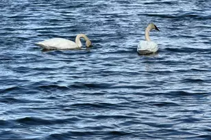 14140 Magnesium St NW, Anoka, MN 55303 - Photo 38