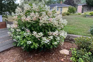 3540 McKnight Rd N, White Bear Lake, MN 55110 - Photo 58