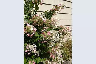 3540 McKnight Road N, White Bear Lake, MN 55110 - Photo 56