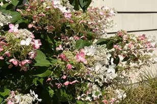 3540 McKnight Rd N, White Bear Lake, MN 55110 - Photo 56