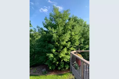 4120 Kings Road, Chanhassen, MN 55331 - Photo 62