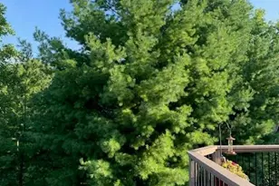 4120 Kings Rd, Chanhassen, MN 55331 - Photo 62