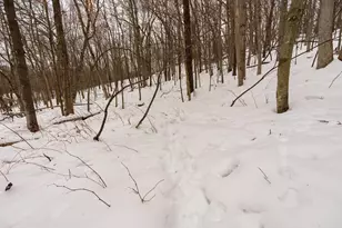 E6783 1090th Ave, Wheeler, WI 54772 - Photo 28