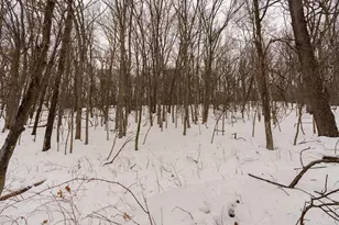 E6783 1090th Ave, Wheeler, WI 54772 - Photo 18