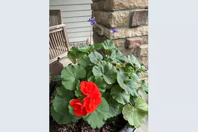 6952 Oakmere Lane NW, Rochester, MN 55901 - Photo 66