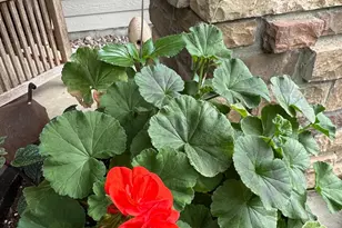 6952 Oakmere Ln NW, Rochester, MN 55901 - Photo 66