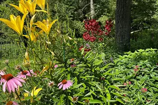 6952 Oakmere Ln NW, Rochester, MN 55901 - Photo 62