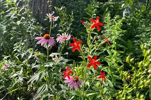 6952 Oakmere Ln NW, Rochester, MN 55901 - Photo 64