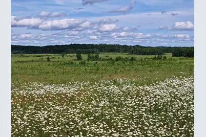 9884 County Road 1 SW, Pequot Lakes, MN 56472 - Photo 4