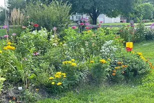 17229 Van Buren St NE, Ham Lake, MN 55304 - Photo 50