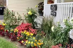 17229 Van Buren St NE, Ham Lake, MN 55304 - Photo 10