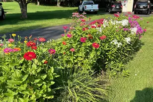 17229 Van Buren St NE, Ham Lake, MN 55304 - Photo 8