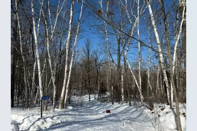 41174 Yellow Birch Lane, Emily, MN 56447 - Photo 1