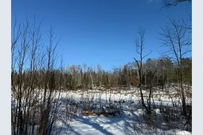 41174 Yellow Birch Lane, Emily, MN 56447 - Photo 10