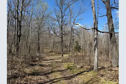 41174 Yellow Birch Lane, Emily, MN 56447 - Photo 8