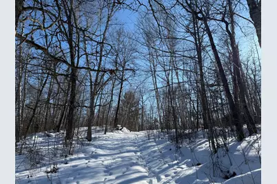 41174 Yellow Birch Lane, Emily, MN 56447 - Photo 24