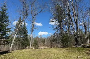 41174 Yellow Birch Ln, Emily, MN 56447 - Photo 1