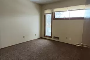 365 E 43rd St, Minneapolis, MN 55409 - Photo 28