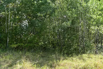 Xxx Oriole Court, Browerville, MN 56438 - Photo 14