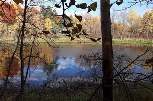 Tbd Oriole Ct, Browerville, MN 56438 - Photo 1