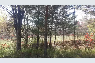 Xxx Pequot Court, Browerville, MN 56438 - Photo 10