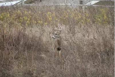 13232 Virginia Terrace, Savage, MN 55378 - Photo 42