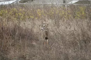 13232 Virginia Terrace, Savage, MN 55378 - Photo 42