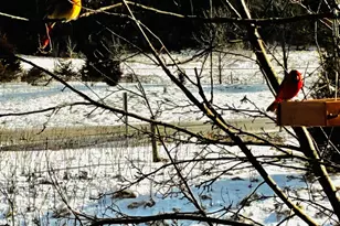 28 Heritage Blvd, Hudson, WI 54016 - Photo 34