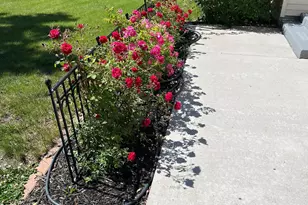 14811 Old Mill Rd, Spicer, MN 56288 - Photo 28