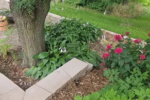 2231 52nd St NW, Rochester, MN 55901 - Photo 34