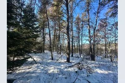 Tbd E Blueberry River Dr, Menahga, MN 56464 - Photo 4