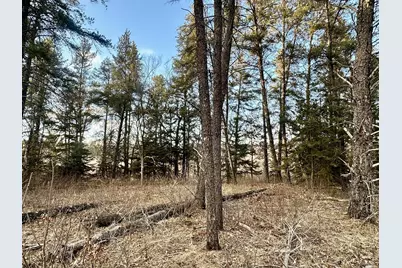 Tbd E Blueberry River Dr, Menahga, MN 56464 - Photo 4