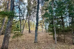 Tbd E Blueberry River Dr, Menahga, MN 56464 - Photo 1
