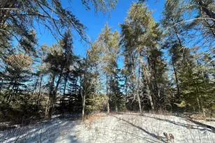 Tbd E Blueberry River Dr, Menahga, MN 56464 - Photo 1