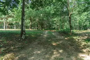 5235 313th Ave NW, Cambridge, MN 55008 - Photo 98