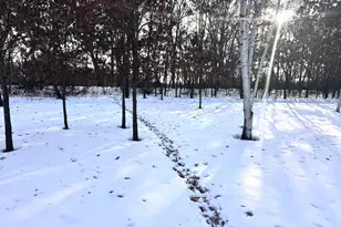 5235 313th Ave NW, Cambridge, MN 55008 - Photo 106