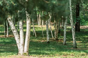 5235 313th Ave NW, Cambridge, MN 55008 - Photo 96