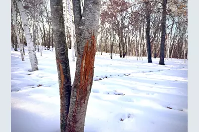 5235 313th Avenue NW, Cambridge, MN 55008 - Photo 64