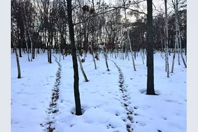 5235 313th Avenue NW, Cambridge, MN 55008 - Photo 78