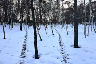 5235 313th Ave NW, Cambridge, MN 55008 - Photo 78