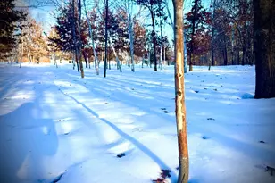 5235 313th Ave NW, Cambridge, MN 55008 - Photo 74