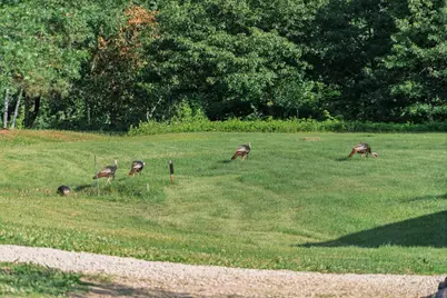 5235 313th Avenue NW, Cambridge, MN 55008 - Photo 88